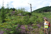 SHG25228_15.jpg