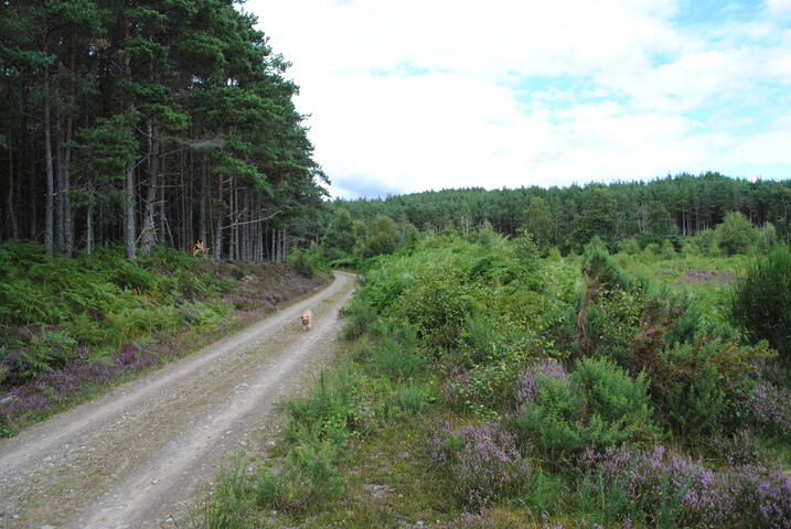 SHG25228_18.jpg