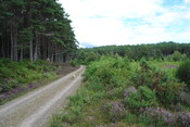 SHG25228_18.jpg