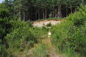 SHG25228_20.jpg
