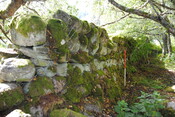SHG25228_24.jpg
