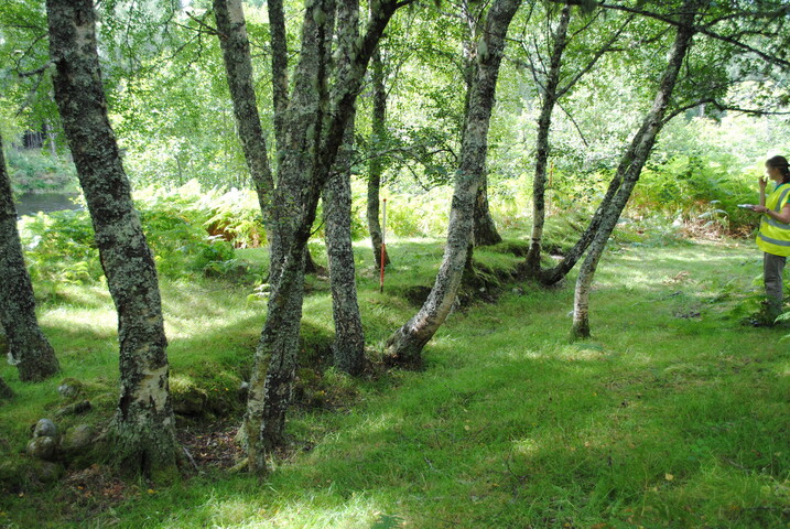 SHG25228_26.jpg