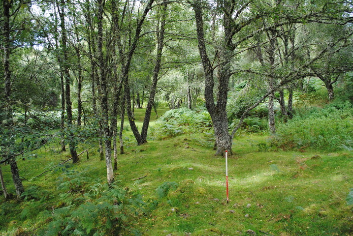 SHG25228_27.jpg