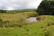 SHG25228_29.jpg