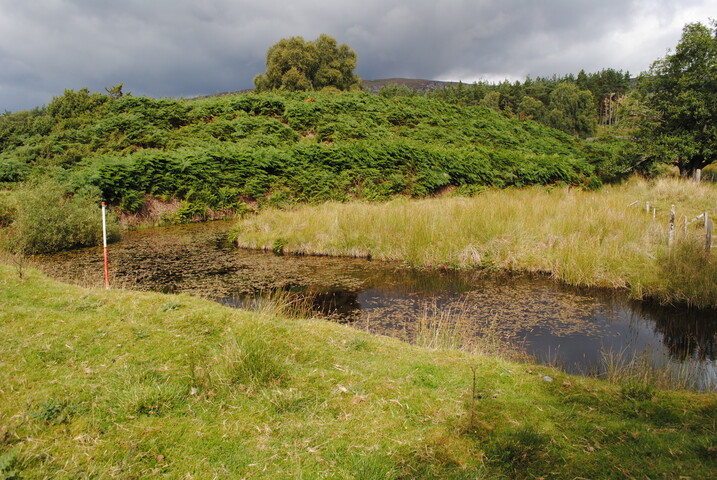 SHG25228_30.jpg