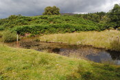 SHG25228_30.jpg