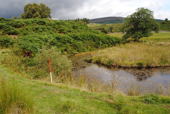 SHG25228_31.jpg