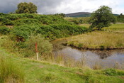 SHG25228_31.jpg