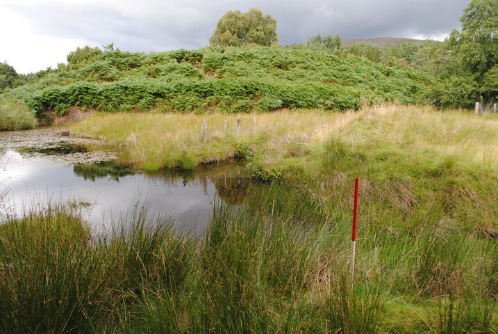 SHG25228_32.jpg