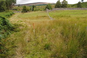 SHG25228_33.jpg