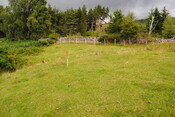 SHG25228_34.jpg
