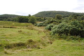 SHG25228_35.jpg