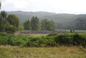 SHG25228_36.jpg