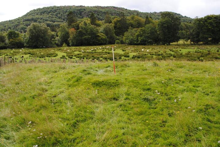 SHG25228_39.jpg