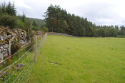 SHG25228_40.jpg