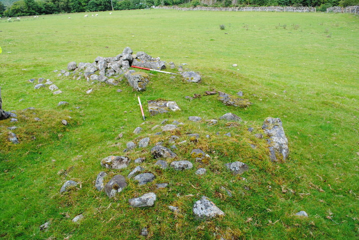 SHG25228_42.jpg