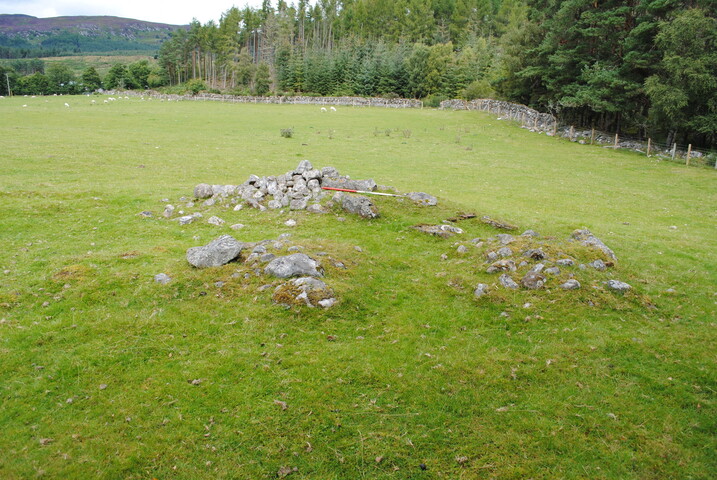 SHG25228_44.jpg