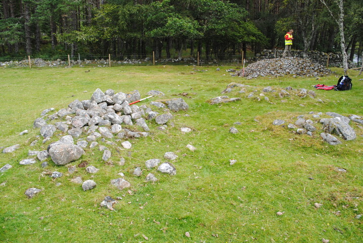 SHG25228_45.jpg