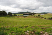SHG25228_49.jpg