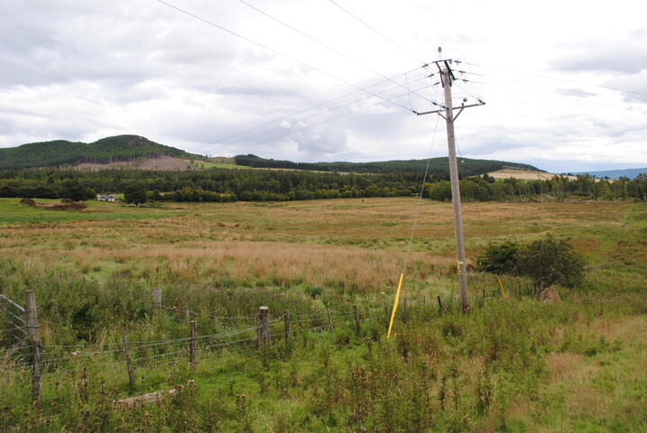 SHG25228_50.jpg