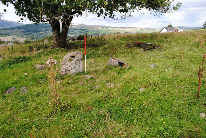 SHG25228_51.jpg