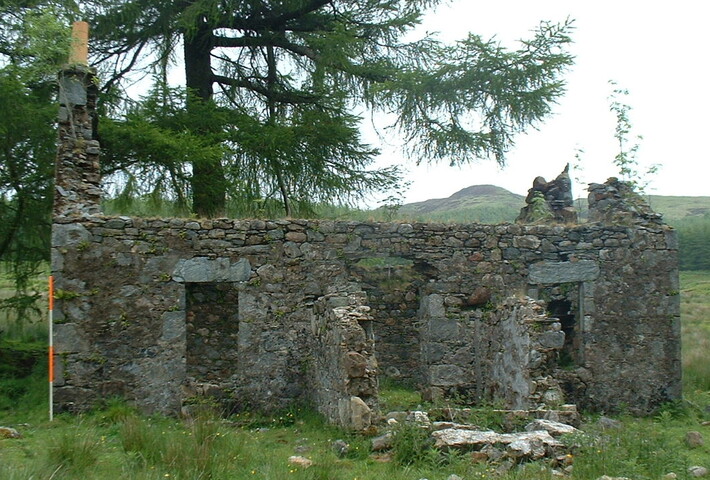 Bea10.JPG