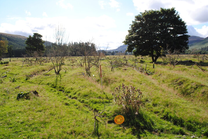 SHG25228_6.jpg