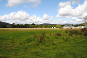 SHG25228_9.jpg
