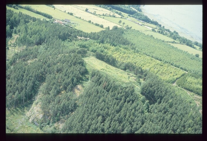 3715.jpg
