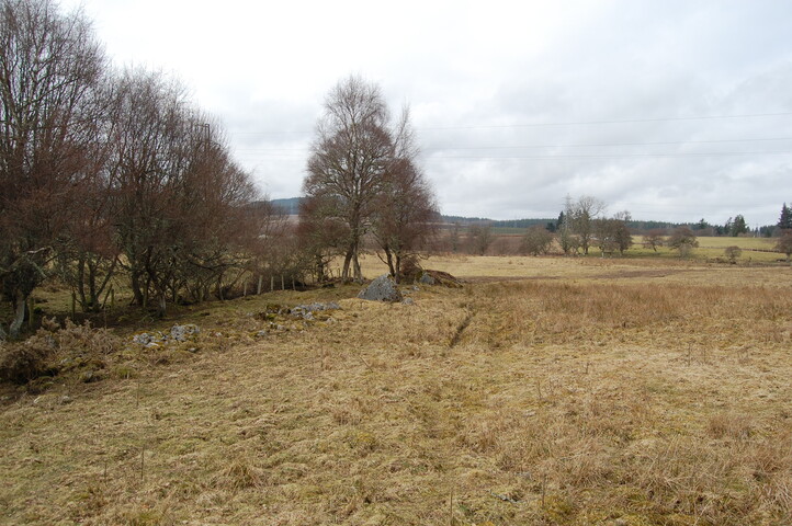 DSC_0056.JPG