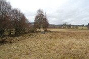 DSC_0056.JPG