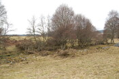 DSC_0057.JPG