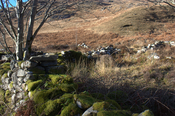 JMBriscoe_EOS450_IMG5659-10_02_2011-15_08_09.jpg