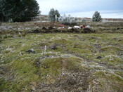 WB26.JPG