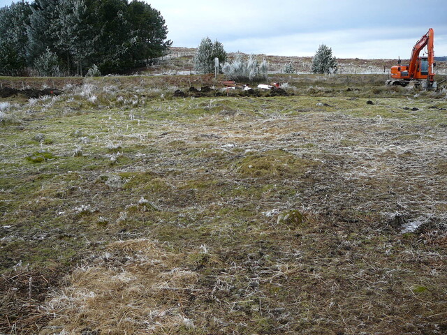 WB27.JPG