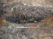 WB28.JPG