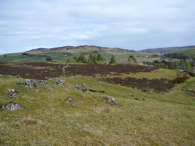 WB39.JPG