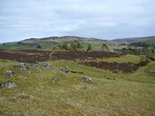 WB39.JPG