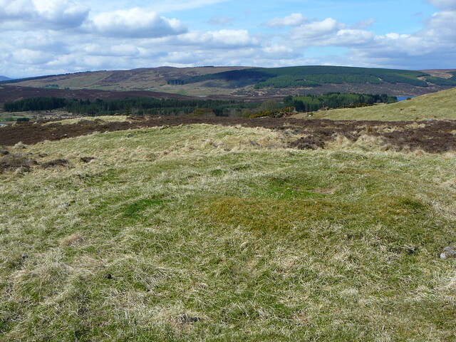 WB40.JPG