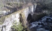 IMAG0240.jpg