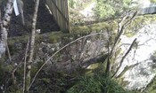 IMAG0241.jpg