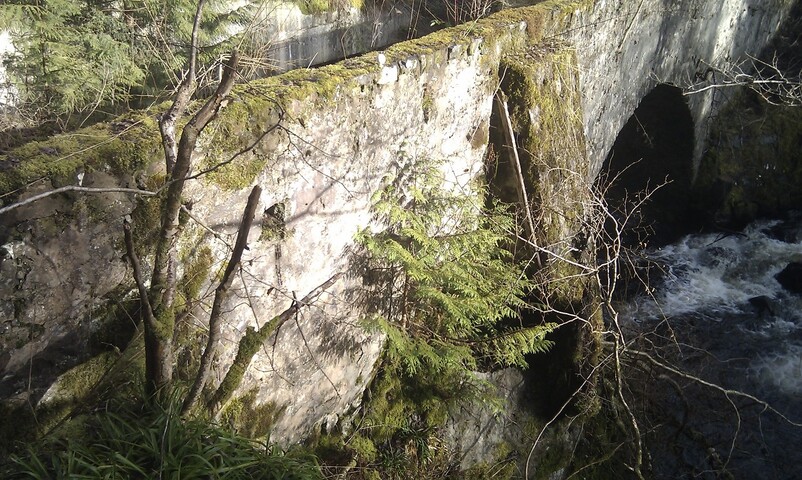IMAG0242.jpg