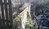 IMAG0243.jpg