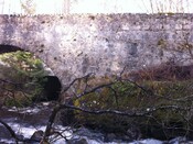 IMG_0045.jpg