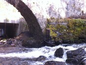 IMG_0062.jpg