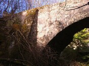 IMG_0063.jpg