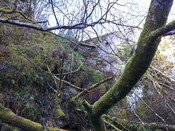 IMG_0066.jpg