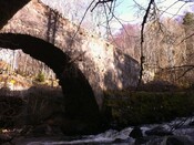 IMG_0072.jpg