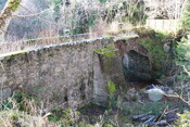 IMG_7904.jpg