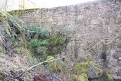 IMG_7907.jpg